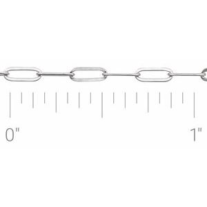 16905675